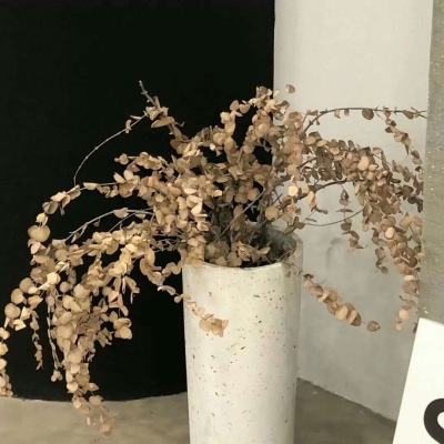 Furry数字绘画教程福瑞交流群